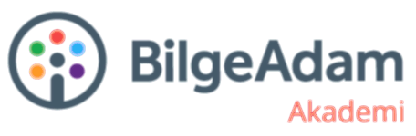Bilge Adam Akademi